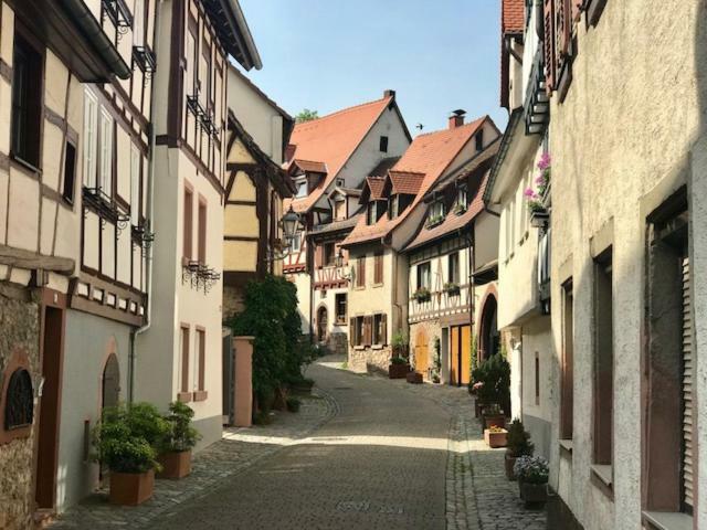 Buedinger Hof Διαμέρισμα Weinheim Εξωτερικό φωτογραφία