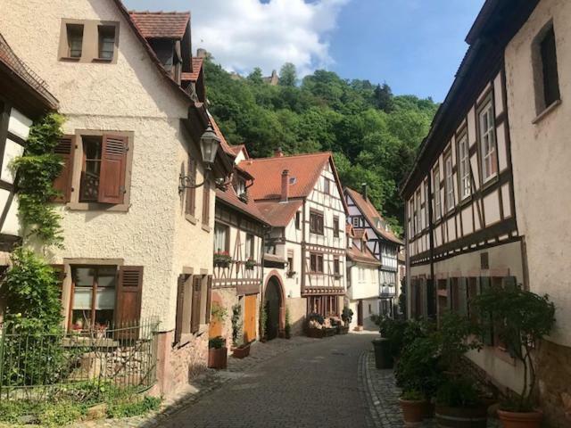 Buedinger Hof Διαμέρισμα Weinheim Εξωτερικό φωτογραφία