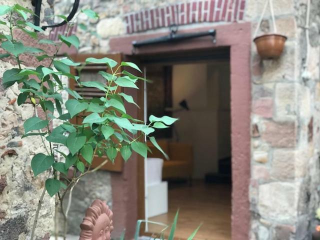 Buedinger Hof Διαμέρισμα Weinheim Εξωτερικό φωτογραφία