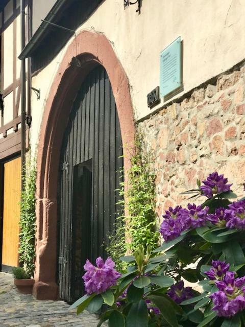 Buedinger Hof Διαμέρισμα Weinheim Εξωτερικό φωτογραφία