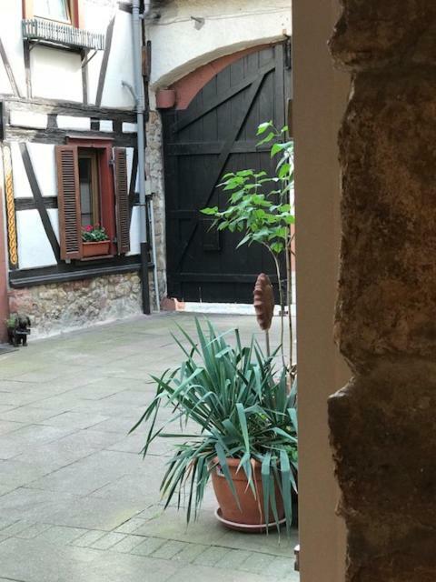 Buedinger Hof Διαμέρισμα Weinheim Εξωτερικό φωτογραφία
