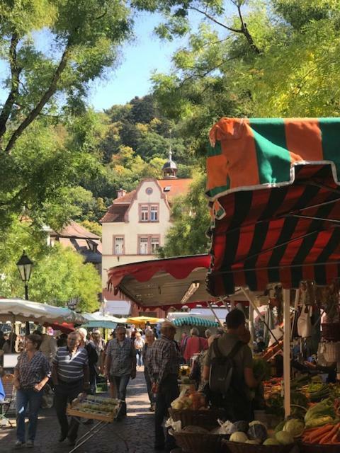 Buedinger Hof Διαμέρισμα Weinheim Εξωτερικό φωτογραφία